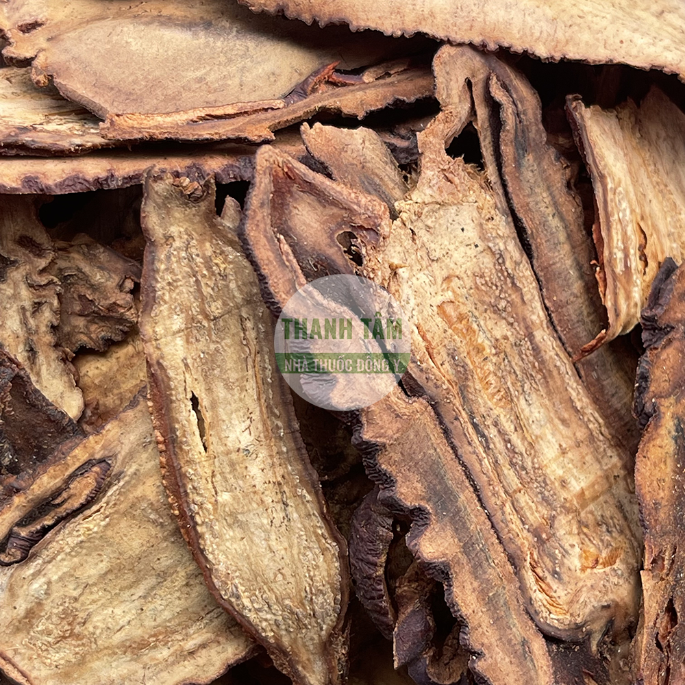 Mộc qua – vị thuốc Đông y thư cân hoạt lạc hóa thấp hòa vị