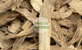 Thiên niên kiện | Nhà thuốc Thanh Tâm