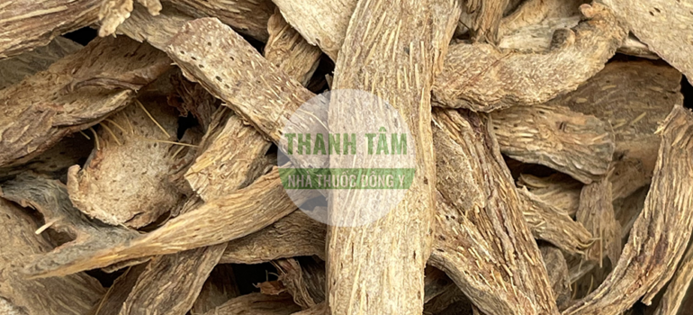 Thiên niên kiện | Nhà thuốc Thanh Tâm