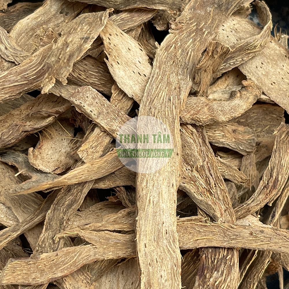 Thiên niên kiện – vị thuốc trừ phong thấp