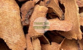 Thổ phục linh đỏ | Nhà thuốc Thanh Tâm