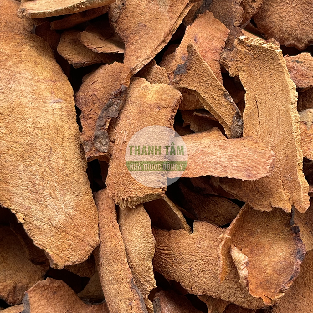 Thổ phục linh – vị thuốc Đông y thanh nhiệt giải độc