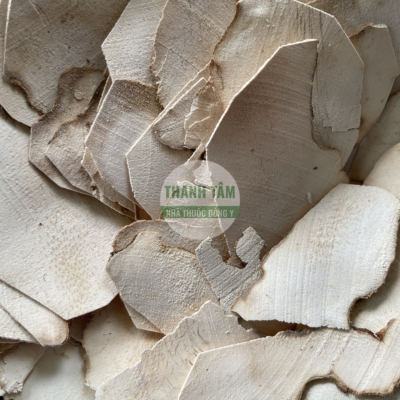 Thổ phục linh trắng | Nhà thuốc Thanh Tâm