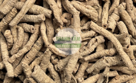 Viễn chí | Nhà thuốc Thanh Tâm