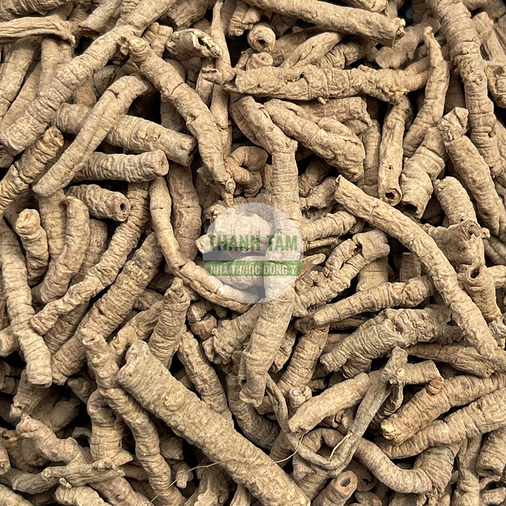 Viễn chí – vị thuốc an thần, ích trí