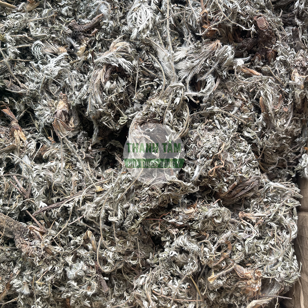 Bắc tử thảo – vị thuốc thanh nhiệt trong Đông y