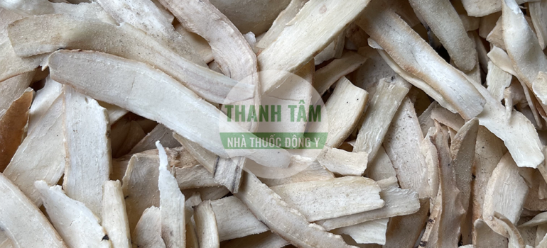 Bạch thược | Nhà thuốc Thanh Tâm