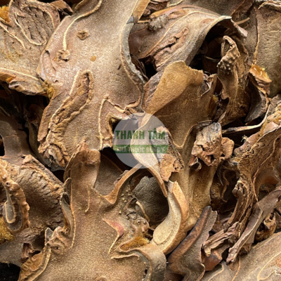 Cẩu tích | Nhà thuốc Thanh Tâm