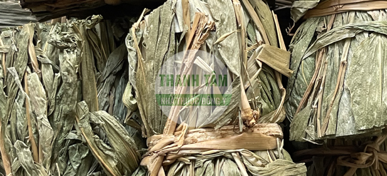 Đạm trúc diệp bắc | Nhà thuốc Thanh Tâm