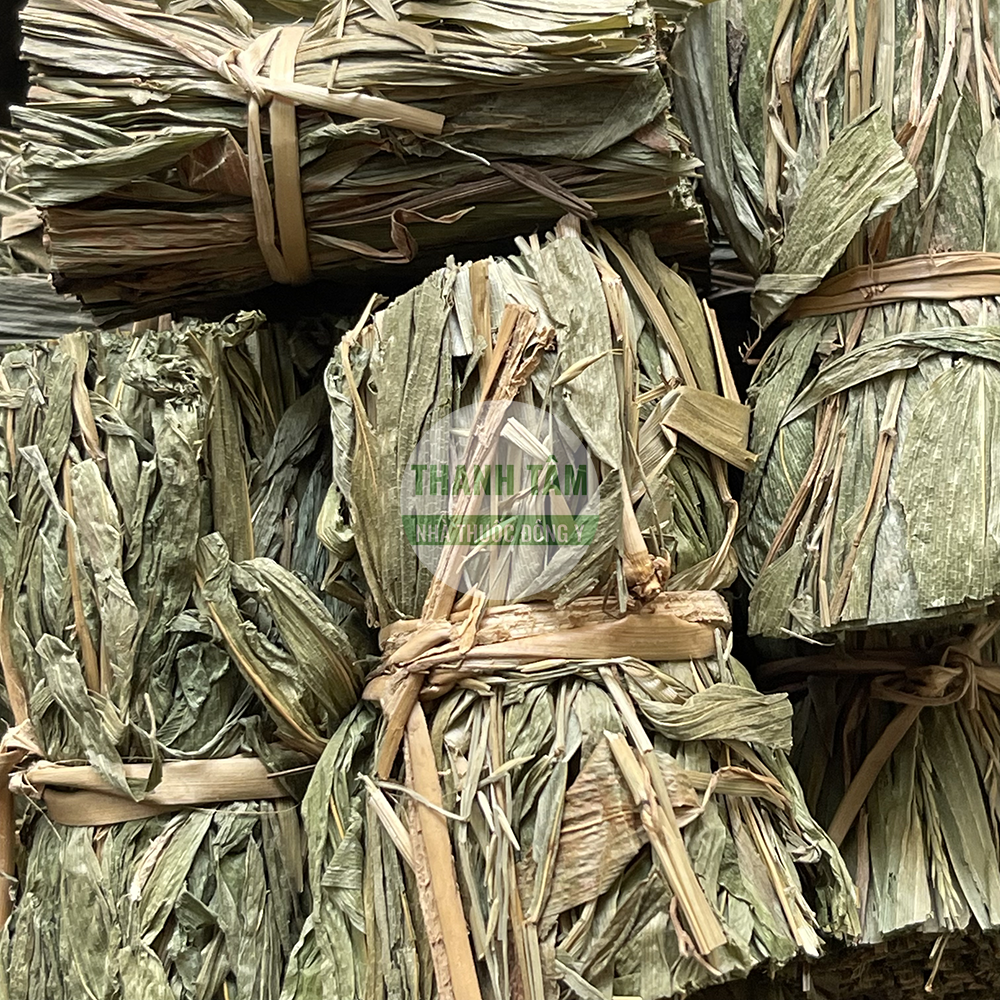 Đạm trúc diệp – vị thuốc thanh nhiệt lợi tiểu