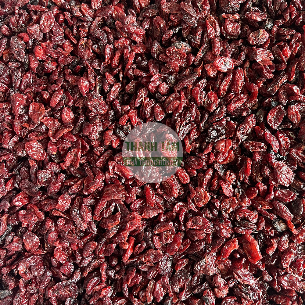 Sơn thù – vị thuốc bổ Can Thận trong Đông y