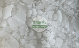Băng phiến | Nhà thuốc Thanh Tâm