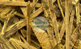 Hoàng bá | Nhà thuốc Thanh Tâm