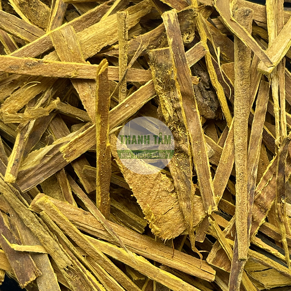 Hoàng bá – vị thuốc thanh nhiệt táo thấp giải độc