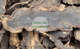 Huyền sâm | Nhà thuốc Thanh Tâm