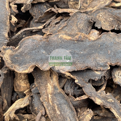 Huyền sâm | Nhà thuốc Thanh Tâm