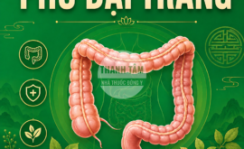 Lục Phủ Phủ Đại tràng | Nhà thuốc Thanh Tâm