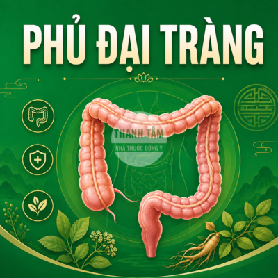 Lục Phủ Phủ Đại tràng | Nhà thuốc Thanh Tâm