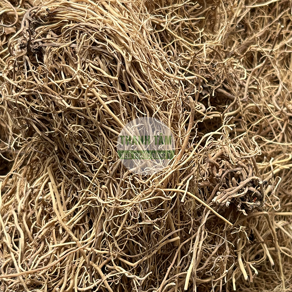 Tế tân – vị thuốc tán hàn thông khiếu giảm đau