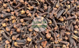 Đinh hương | Nhà thuốc Thanh Tâm