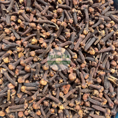 Đinh hương | Nhà thuốc Thanh Tâm