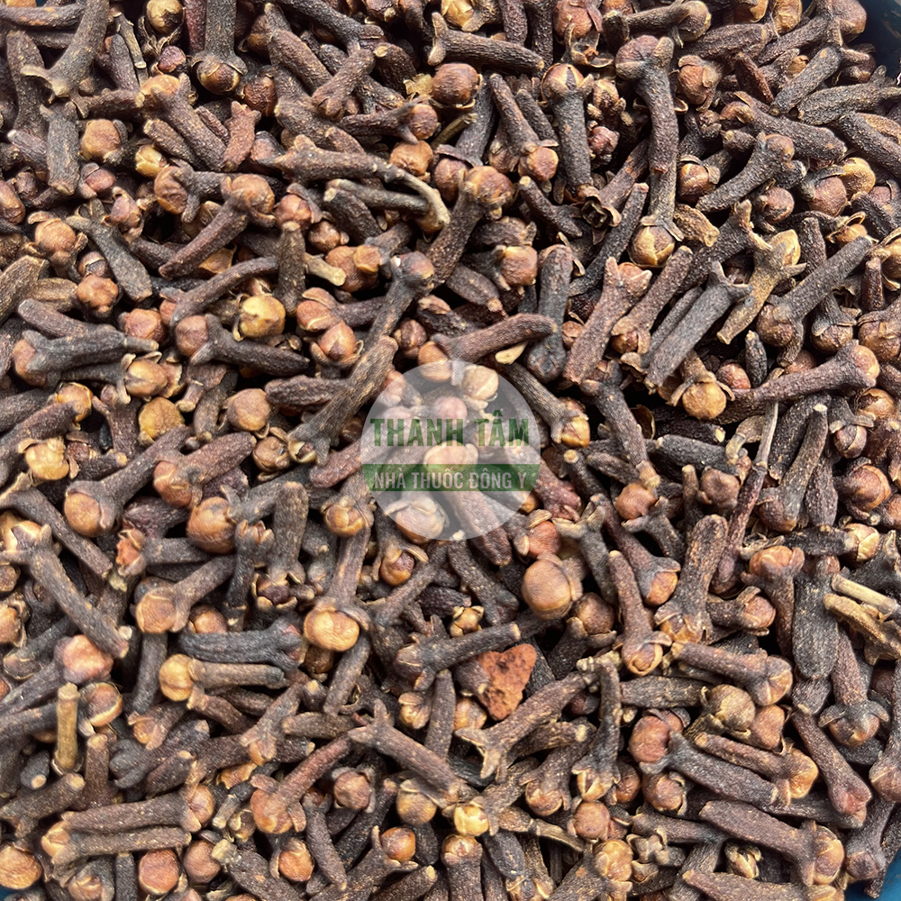 Đinh hương – vị thuốc ôn trung giáng nghịch