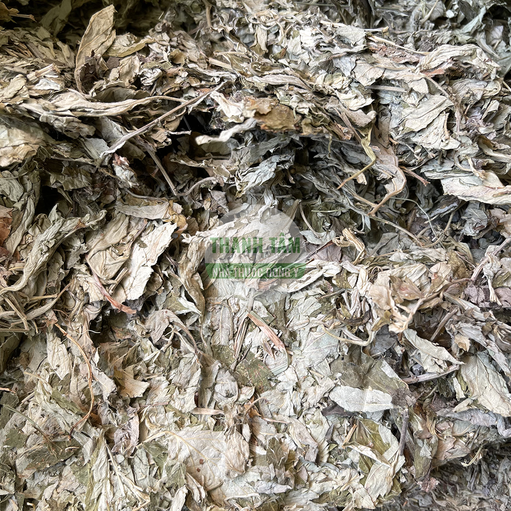 Mugwort Leaf Ai Ye - warming TCM herb
