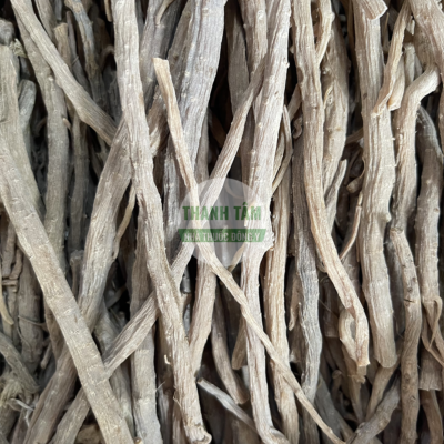 Ngưu tất bắc cây | Nhà thuốc Thanh Tâm