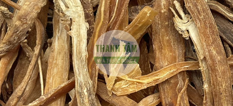 Ngưu tất bắc phiến | Nhà thuốc Thanh Tâm