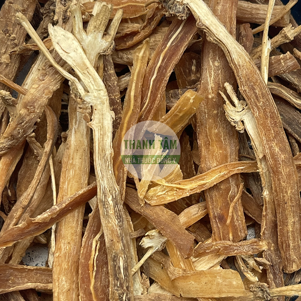Ngưu tất – vị thuốc hoạt huyết bổ can thận và mạnh gân cốt