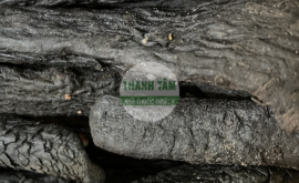 Nhục thung dung củ | Nhà thuốc Thanh Tâm