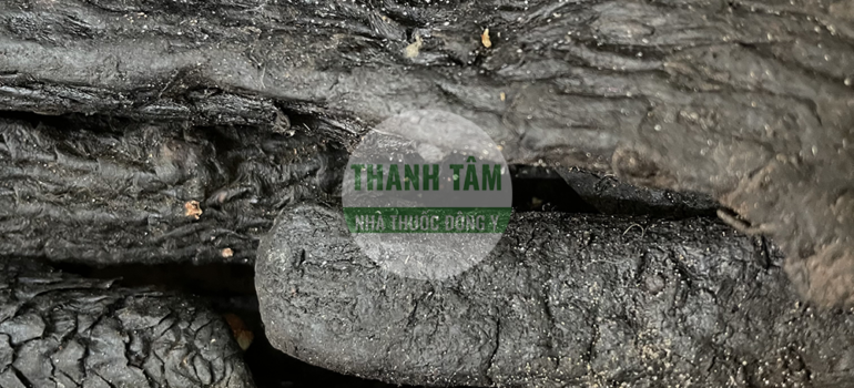 Nhục thung dung củ | Nhà thuốc Thanh Tâm