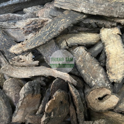 Nhục thung dung phiến | Nhà thuốc Thanh Tâm
