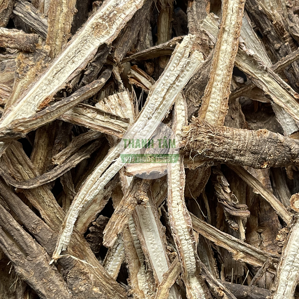 Phòng phong – vị thuốc khu phong giải biểu