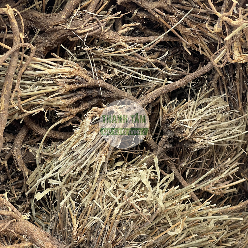 Sài hồ bắc – vị thuốc hòa giải biểu lý và sơ can