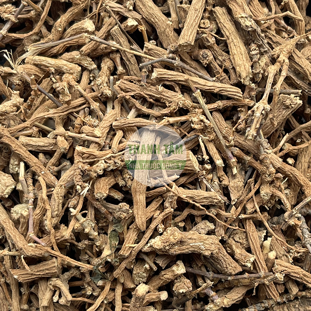 Sài hồ nam – vị thuốc phát tán phong nhiệt và giải uất