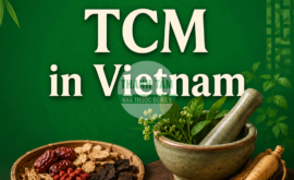 TCM in Vietnam | Nha thuoc Thanh Tam