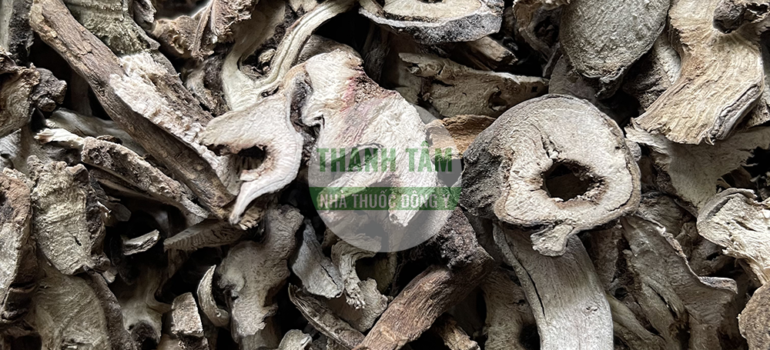 Xuyên ngưu tất | Nhà thuốc Thanh Tâm