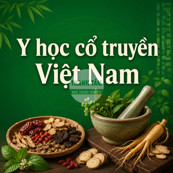 Y học cổ truyền Việt Nam | Cửa hàng Dược liệu Thanh Tâm