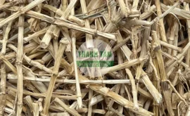 Vị thuốc Bạch mao căn Rễ tranh | Cửa Hàng Dược Liệu Thanh Tâm