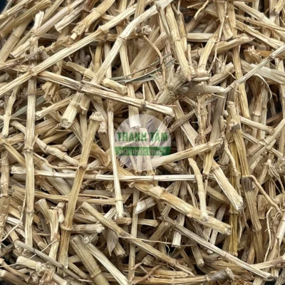 Vị thuốc Bạch mao căn Rễ tranh | Cửa Hàng Dược Liệu Thanh Tâm