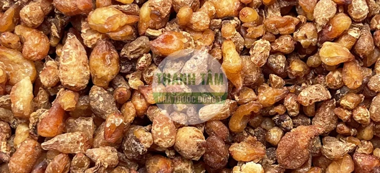 Bán hạ bắc chế | Cửa Hàng Dược Liệu Thanh Tâm