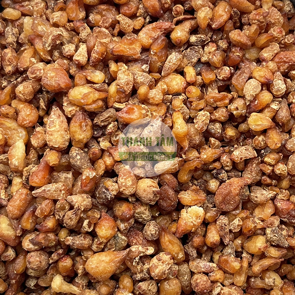 Bán hạ chế – vị thuốc hóa đờm giáng nghịch