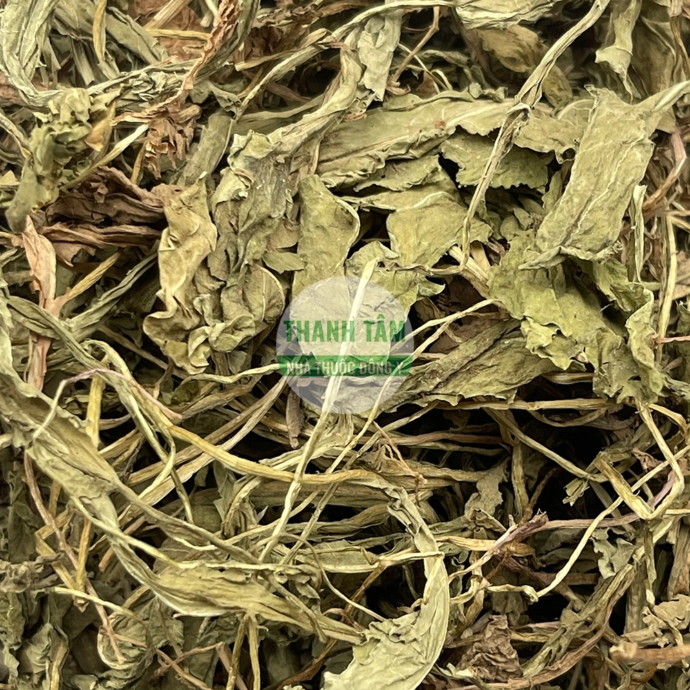 Bồ công anh – vị thuốc thanh nhiệt giải độc