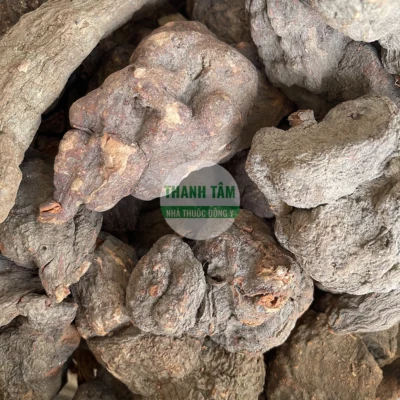 Vị thuốc Hà thủ ô đỏ củ | Cửa Hàng Dược Liệu Thanh Tâm