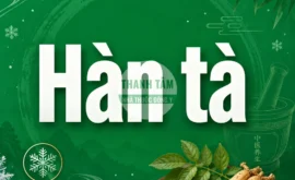 Hàn tà | Tác nhân gây bệnh từ bên ngoài