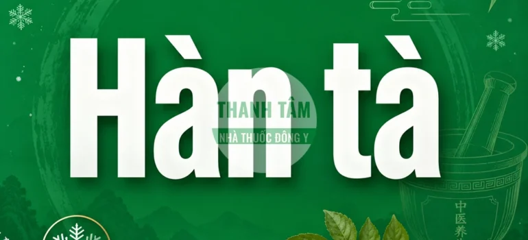 Hàn tà | Tác nhân gây bệnh từ bên ngoài