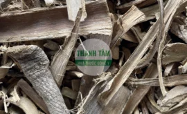 Vị thuốc Hoàng bá nam Núc nác | Cửa Hàng Dược Liệu Thanh Tâm