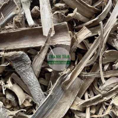 Vị thuốc Hoàng bá nam Núc nác | Cửa Hàng Dược Liệu Thanh Tâm