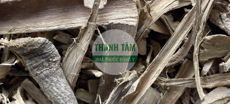 Vị thuốc Hoàng bá nam Núc nác | Cửa Hàng Dược Liệu Thanh Tâm